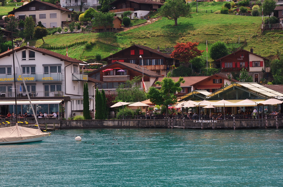 IMGP9565.jpg(500517 byte)