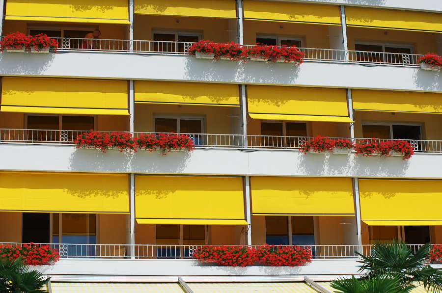 IMGP9576.jpg(345544 byte)