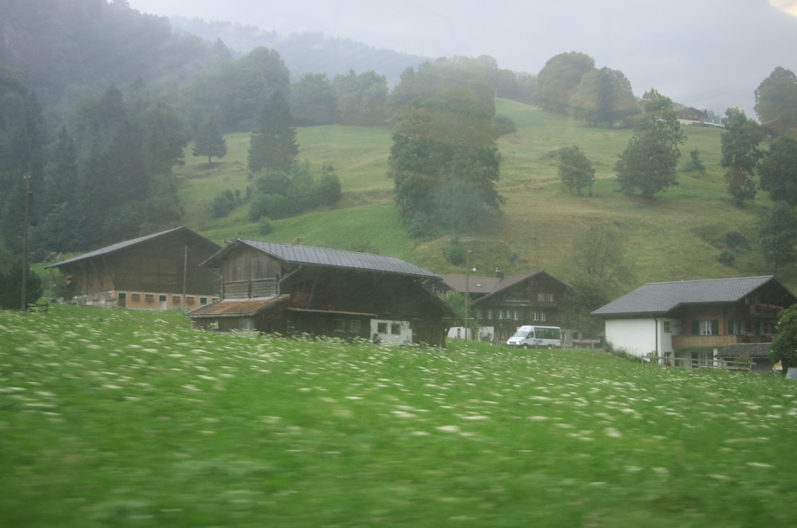 IMGP9622.jpg(232049 byte)