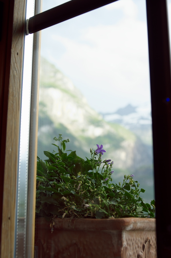 IMGP9645.jpg(192090 byte)