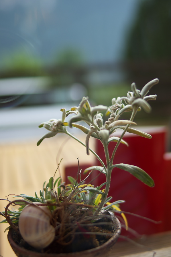 IMGP9649.jpg(180291 byte)