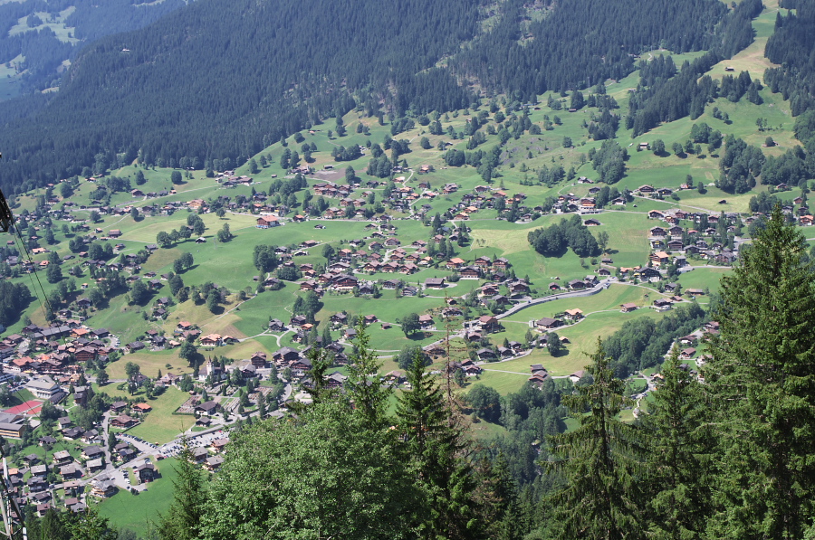 IMGP0484.jpg(531688 byte)