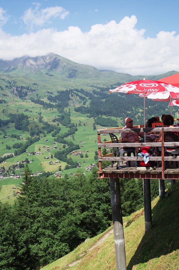 IMGP0488.jpg(425727 byte)