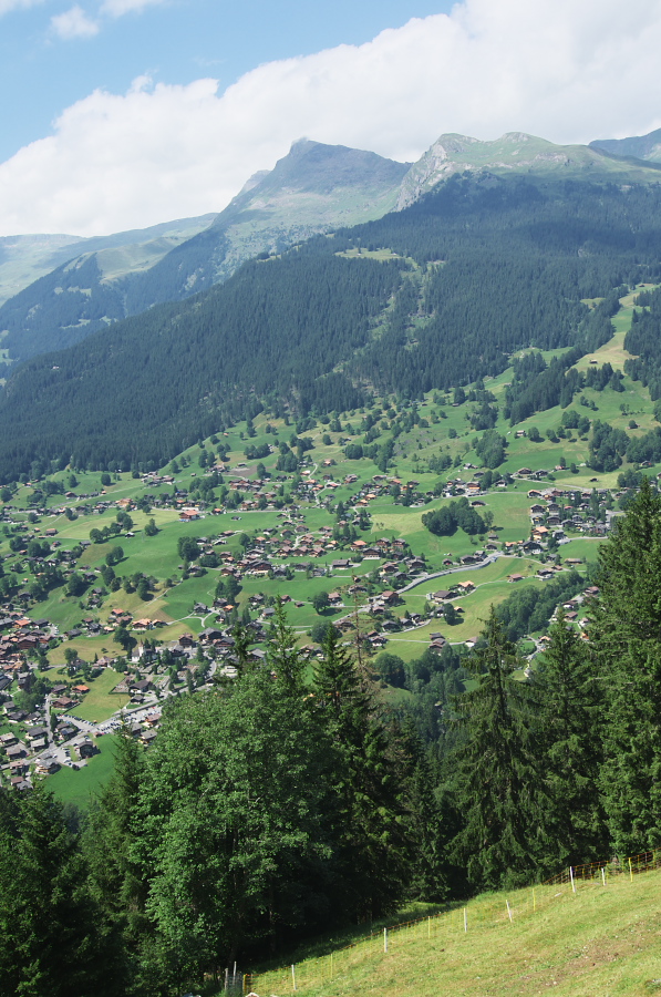 IMGP0500.jpg(428911 byte)