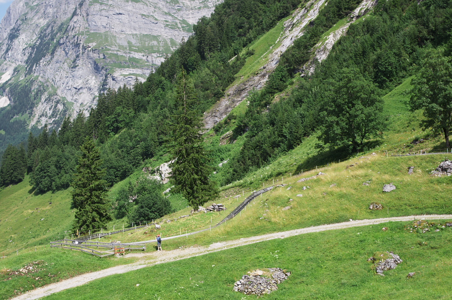 IMGP0510.jpg(543098 byte)