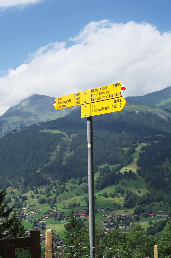 IMGP0513.jpg(274498 byte)