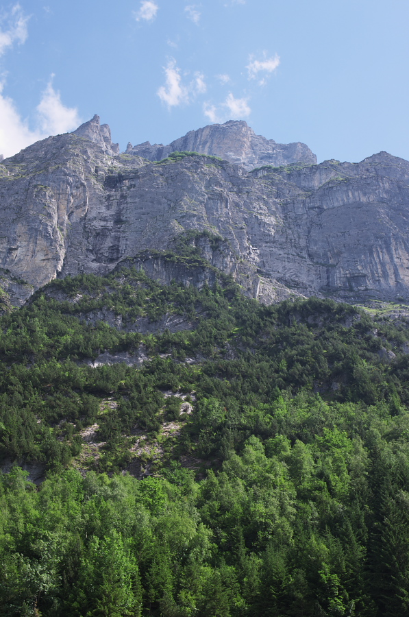 IMGP0514.jpg(404533 byte)