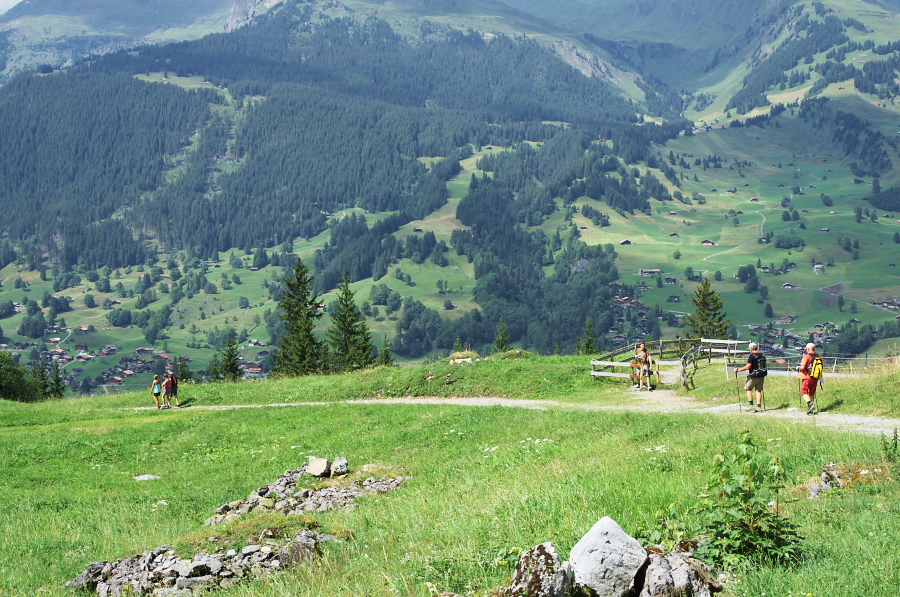 IMGP0516.jpg(491123 byte)