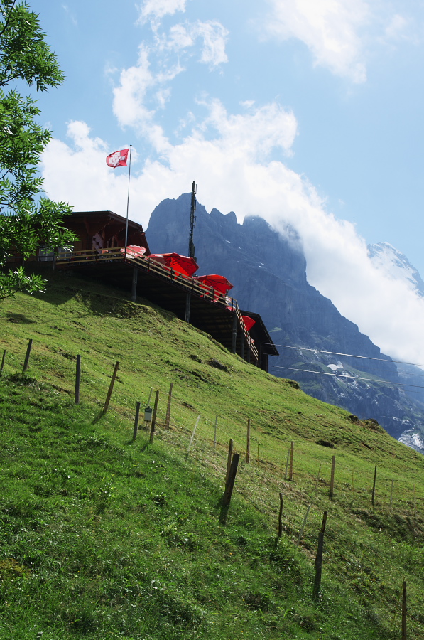 IMGP0520.jpg(414916 byte)