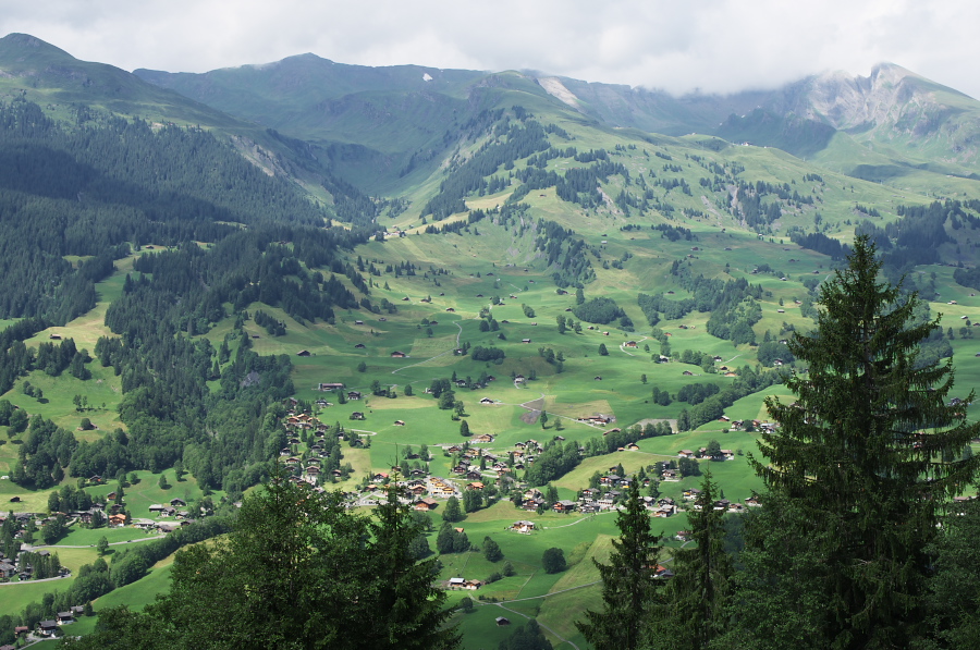 IMGP0524.jpg(406591 byte)