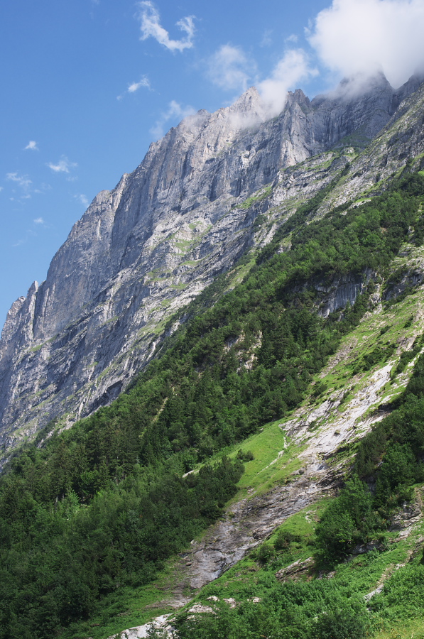 IMGP0525.jpg(452893 byte)