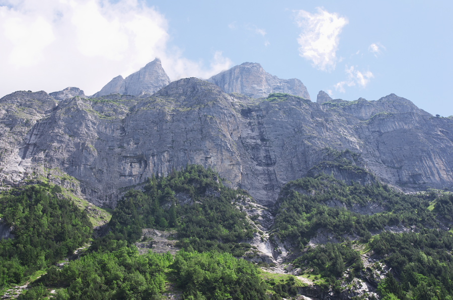 IMGP0527.jpg(377061 byte)