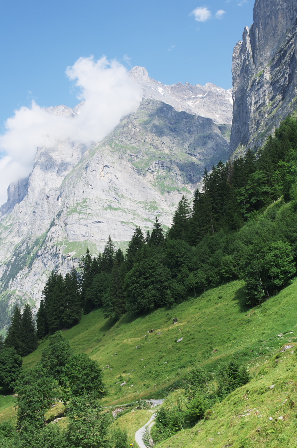 IMGP0528.jpg(432915 byte)