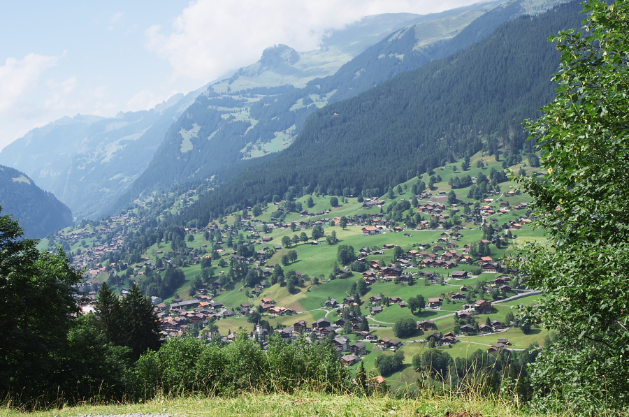 IMGP0532.jpg(468624 byte)