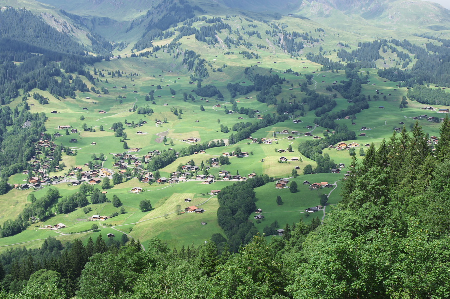 IMGP0534.jpg(501811 byte)