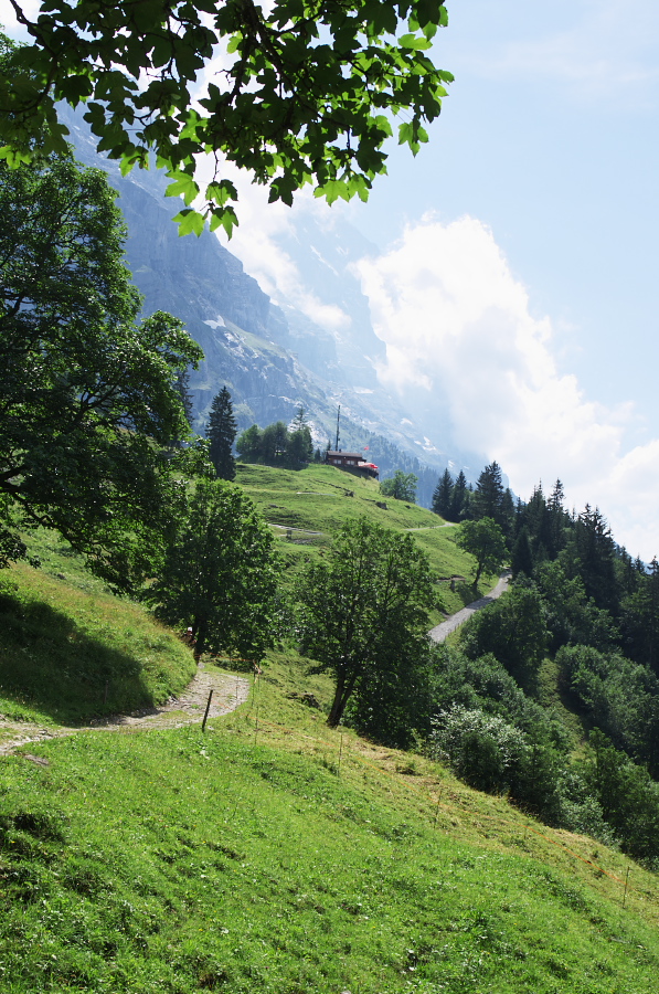 IMGP0539.jpg(492825 byte)