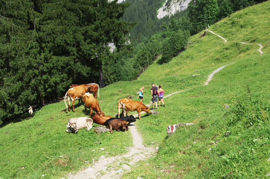 IMGP0542.jpg(595062 byte)