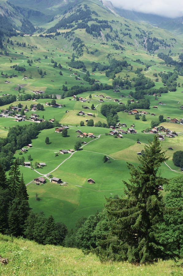 IMGP0548.jpg(480792 byte)