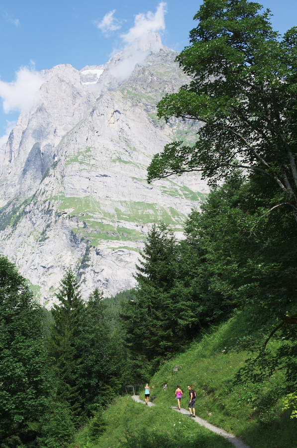 IMGP0550.jpg(500640 byte)