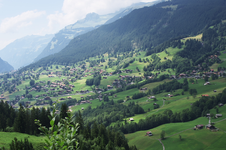 IMGP0553.jpg(369985 byte)