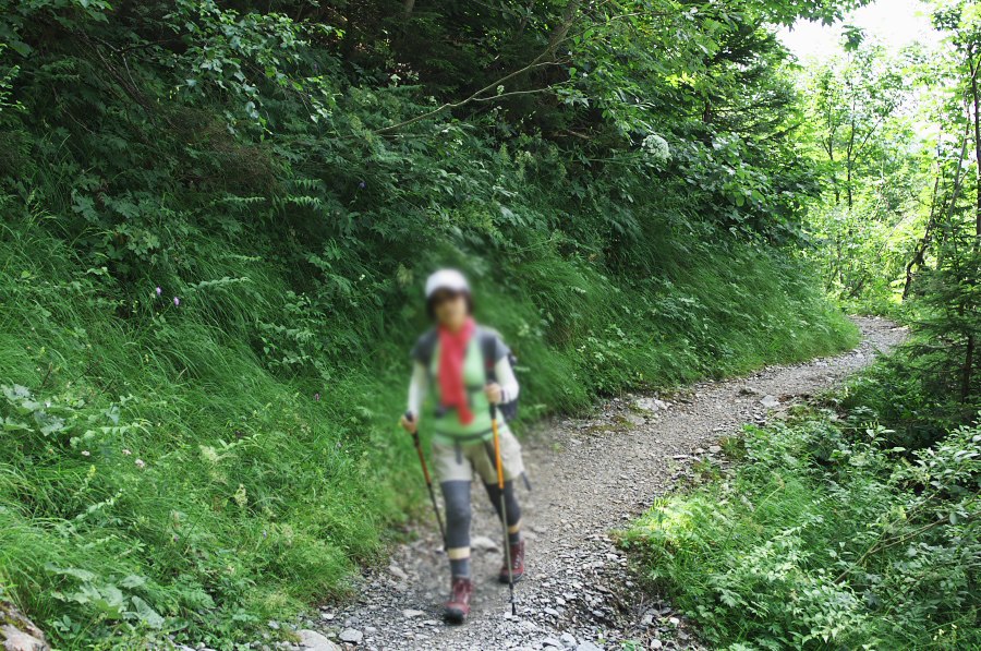 IMGP0557.jpg(632765 byte)