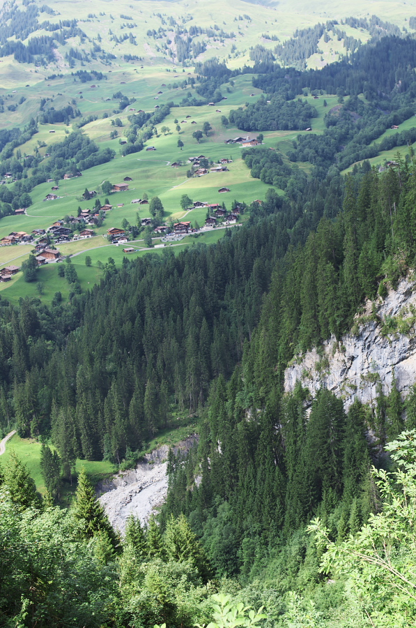 IMGP0560.jpg(510973 byte)