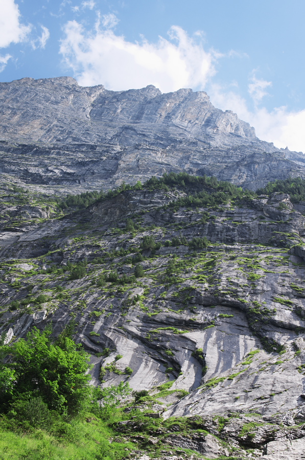 IMGP0562.jpg(468947 byte)