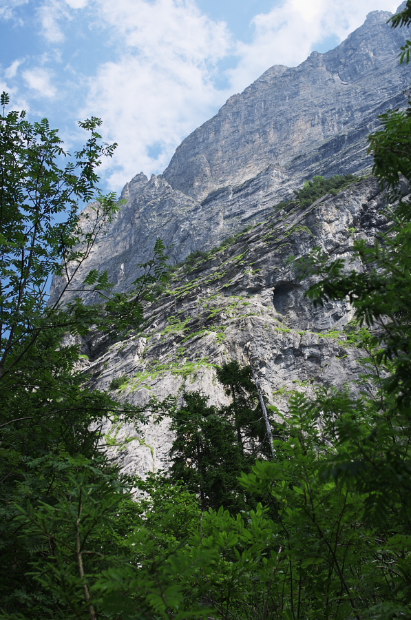 IMGP0567.jpg(488038 byte)