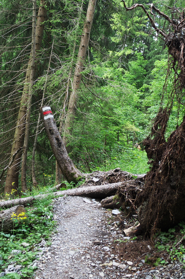 IMGP0569.jpg(637866 byte)