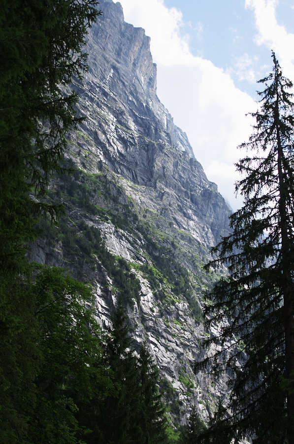 IMGP0571.jpg(454817 byte)