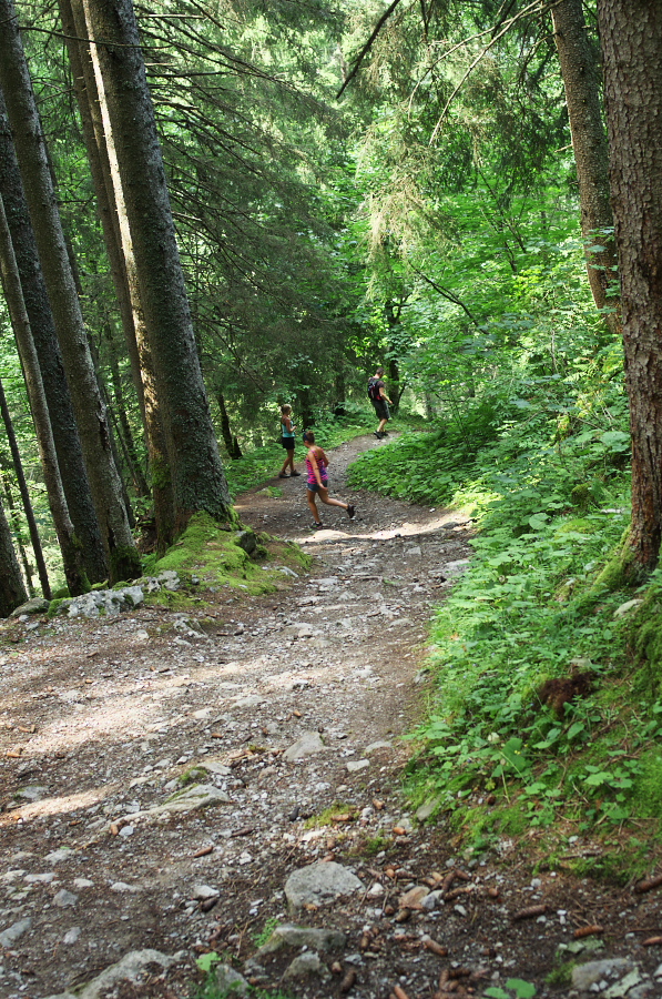 IMGP0578.jpg(630162 byte)