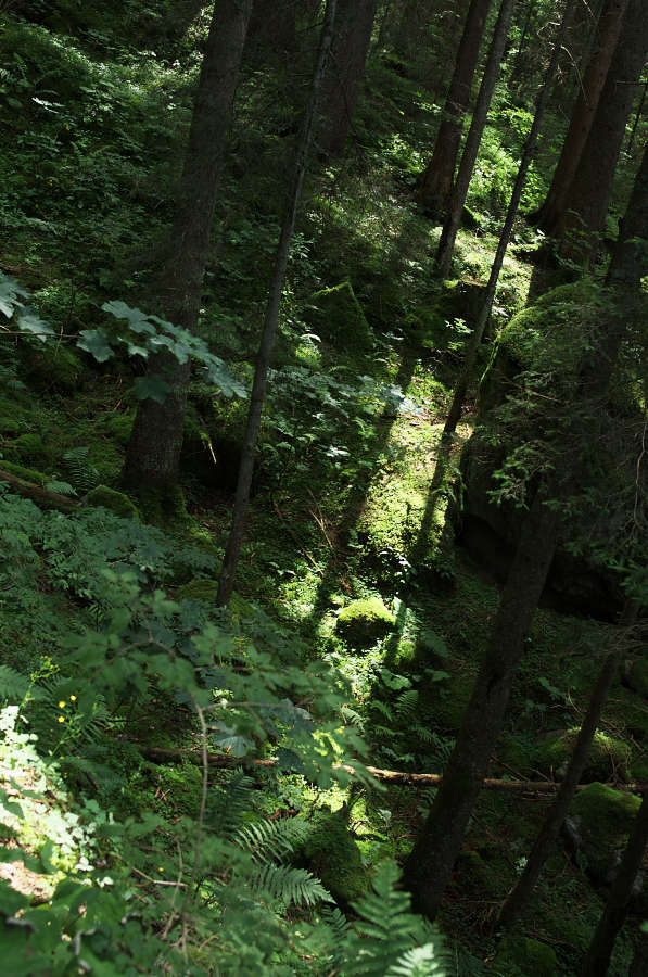 IMGP0580.jpg(497486 byte)