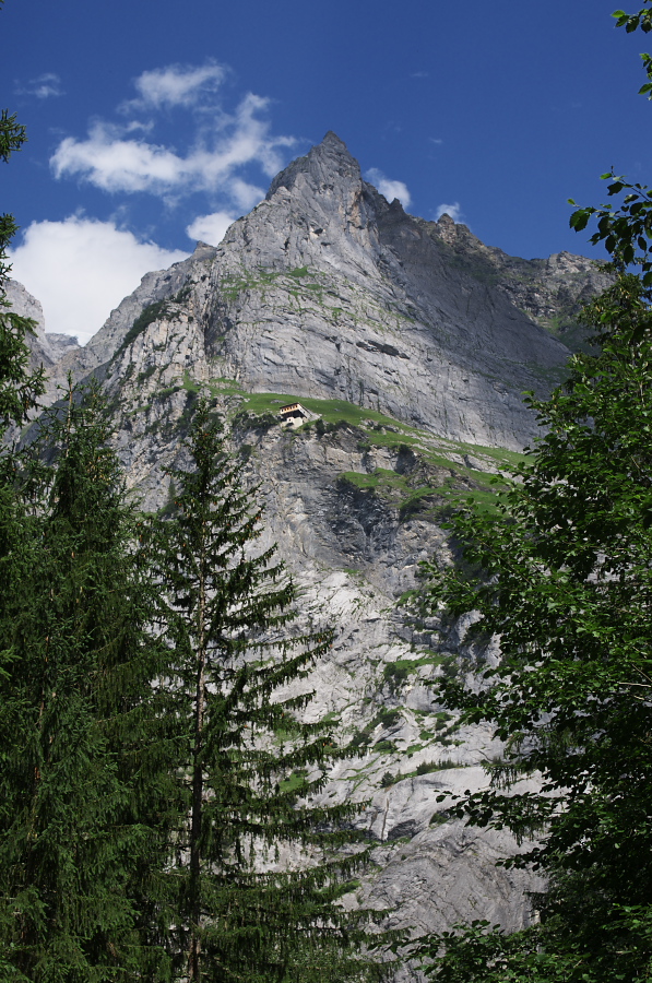 IMGP0588.jpg(471977 byte)