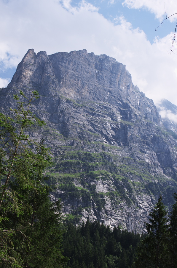 IMGP0625.jpg(395317 byte)