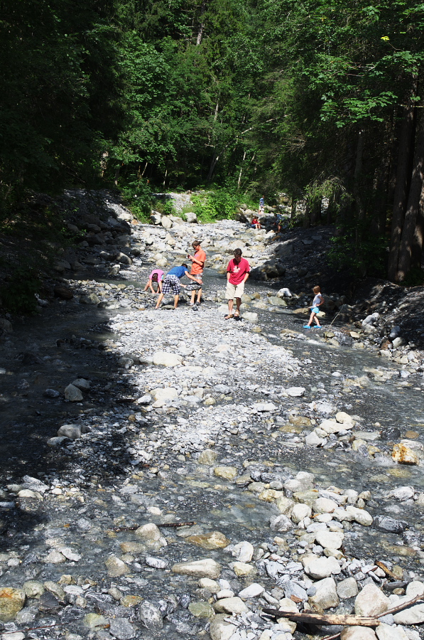 IMGP0629.jpg(541407 byte)