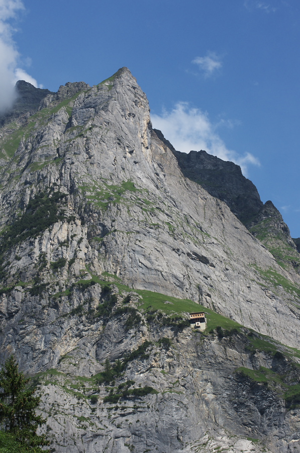 IMGP0650.jpg(400388 byte)