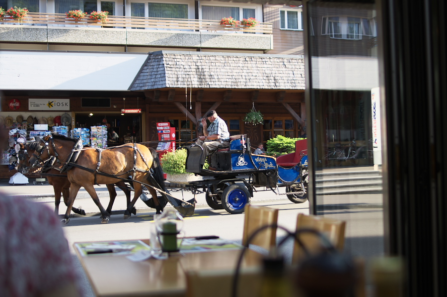 IMGP0748.jpg(311181 byte)