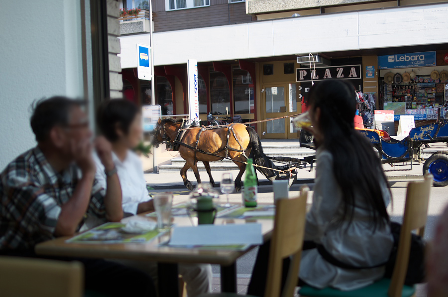 IMGP0749.jpg(272038 byte)