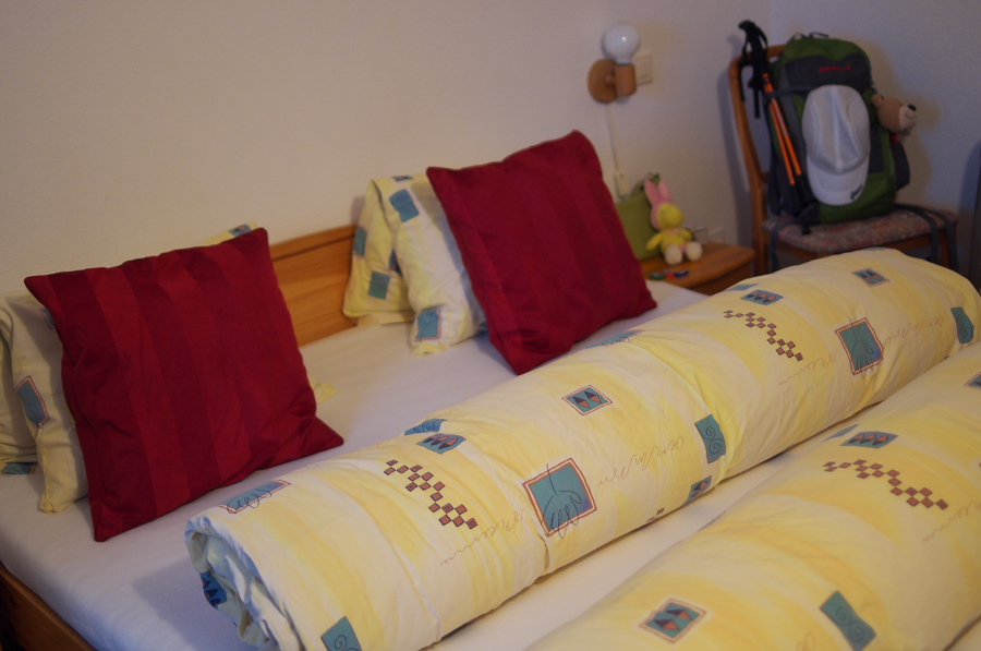 IMGP9813.jpg(220309 byte)