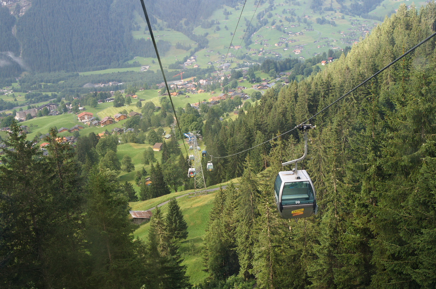 IMGP9827.jpg(487676 byte)