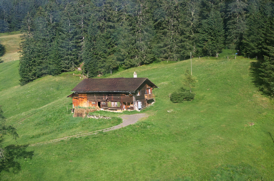 IMGP9830.jpg(479307 byte)