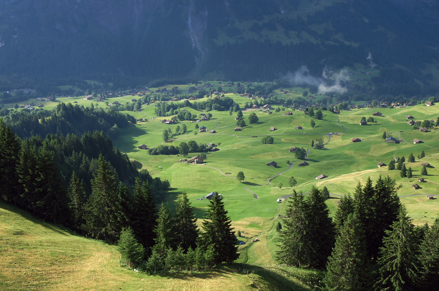 IMGP9856.jpg(389820 byte)