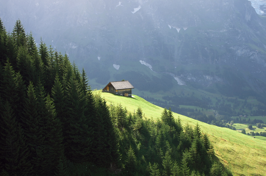 IMGP9859.jpg(308721 byte)