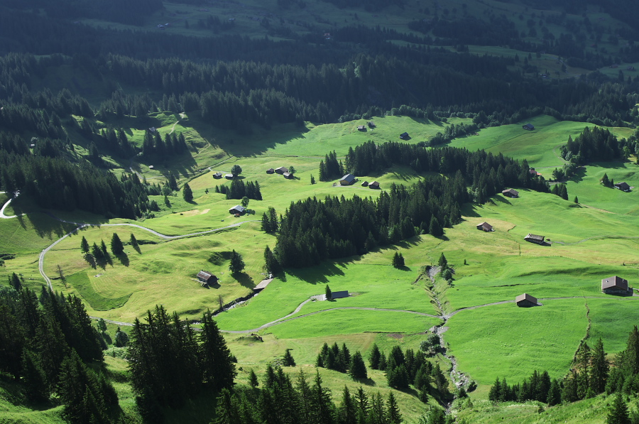 IMGP9871.jpg(381161 byte)