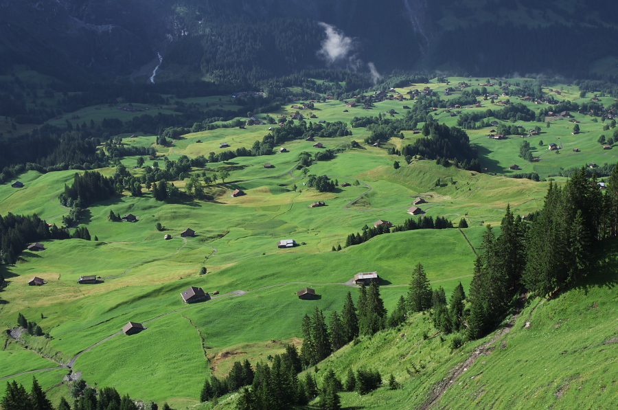 IMGP9882.jpg(401234 byte)