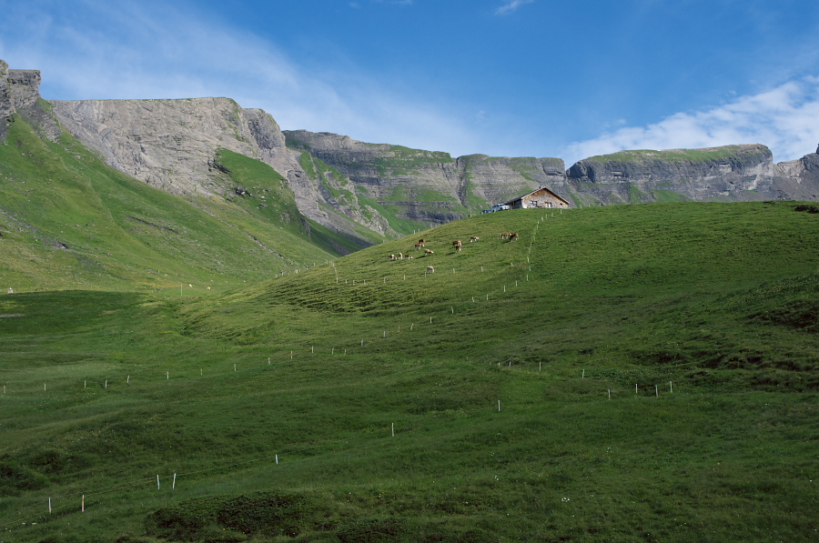 IMGP9891.jpg(349461 byte)