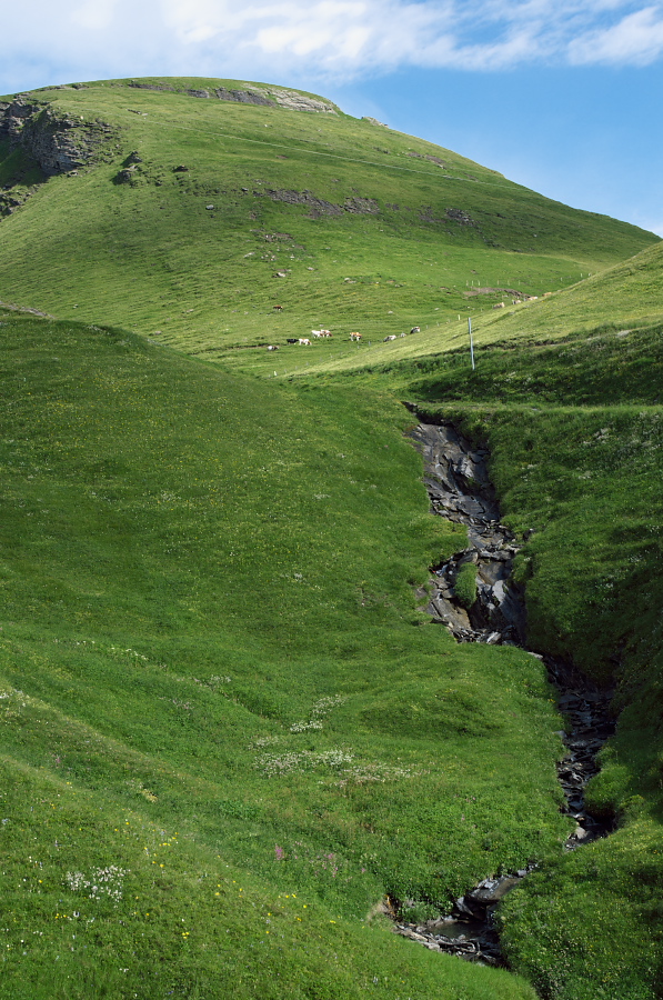 IMGP9900.jpg(455915 byte)