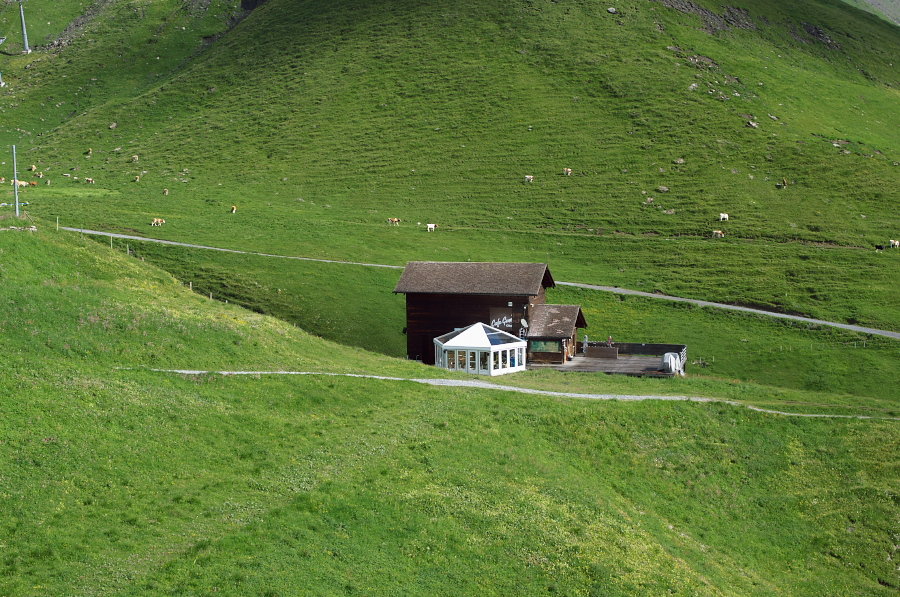 IMGP9908.jpg(508371 byte)