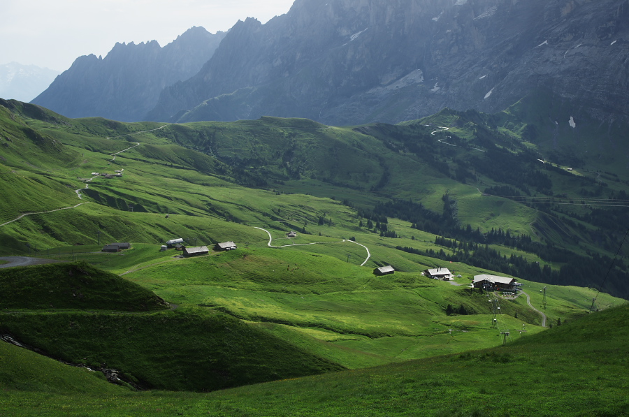 IMGP9921.jpg(325671 byte)