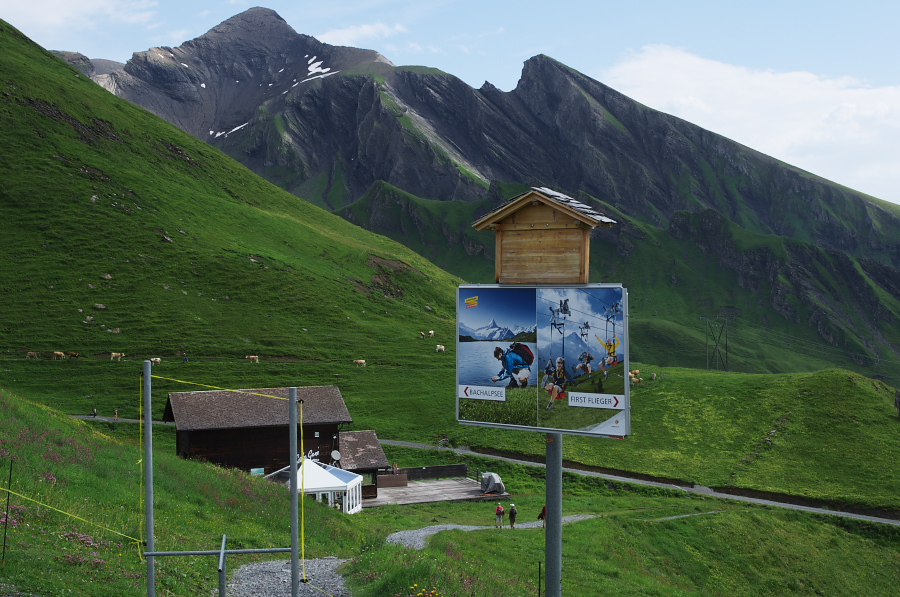 IMGP9925.jpg(378722 byte)